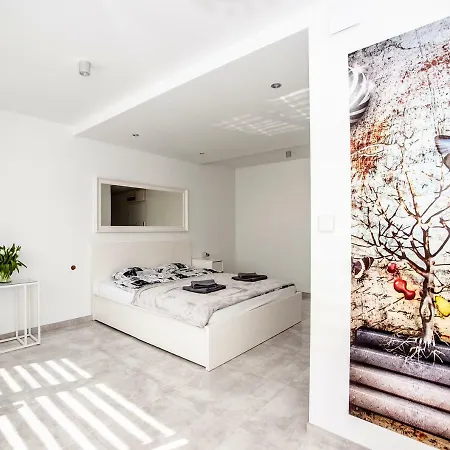 Apartment Super Komfortowe Mieszkanie - Mtb Narty Gory Sowie Dzierzoniow