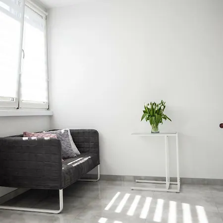 Apartment Super Komfortowe Mieszkanie - Mtb Narty Gory Sowie Dzierzoniow
